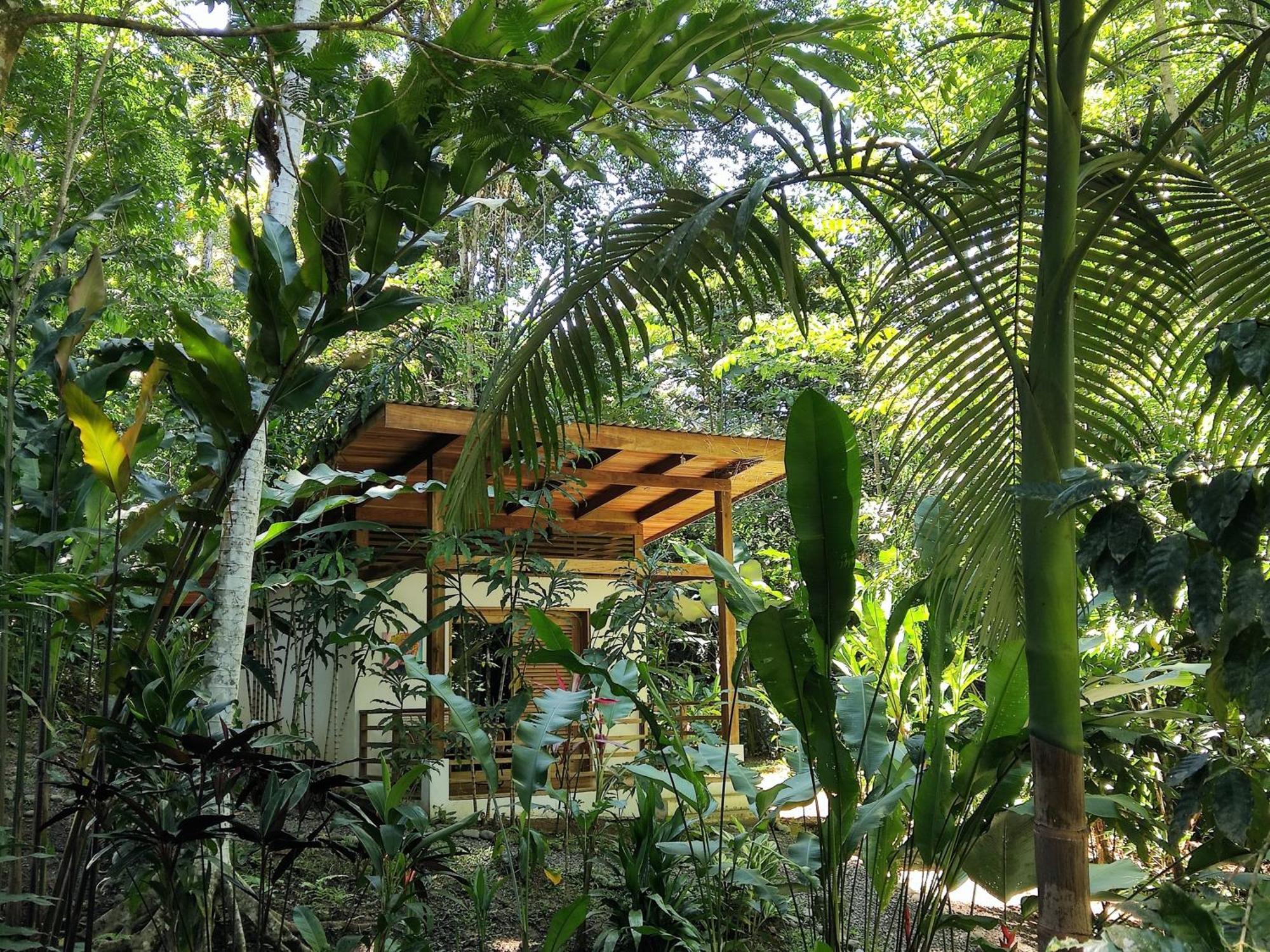 Satta Lodge (Adults Only) Puerto Viejo de Talamanca Bilik gambar