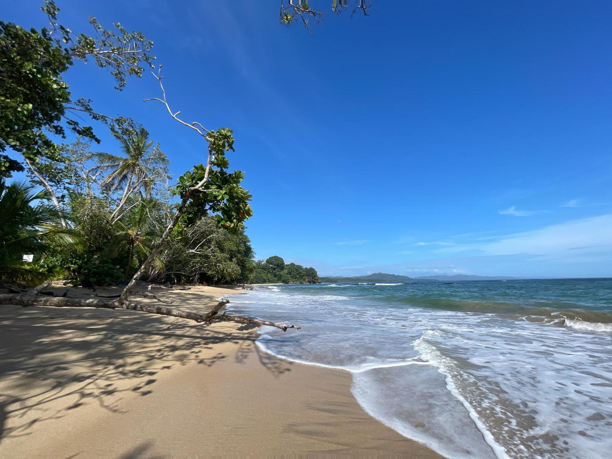 Satta Lodge (Adults Only) Puerto Viejo de Talamanca Luaran gambar
