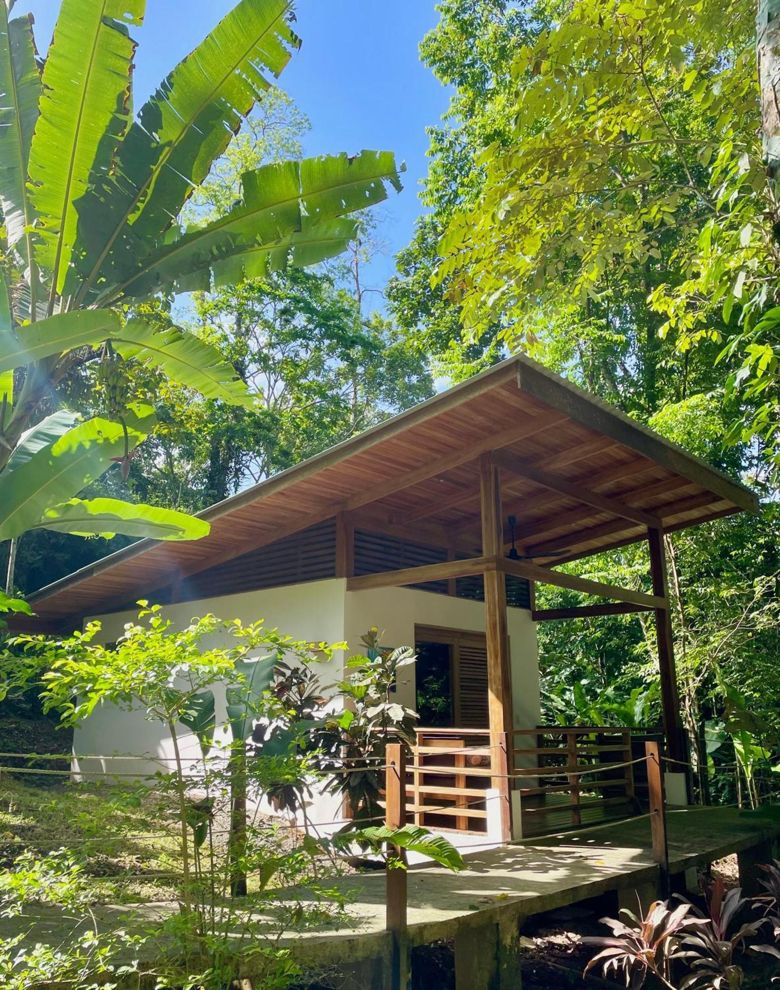 Satta Lodge (Adults Only) Puerto Viejo de Talamanca Luaran gambar