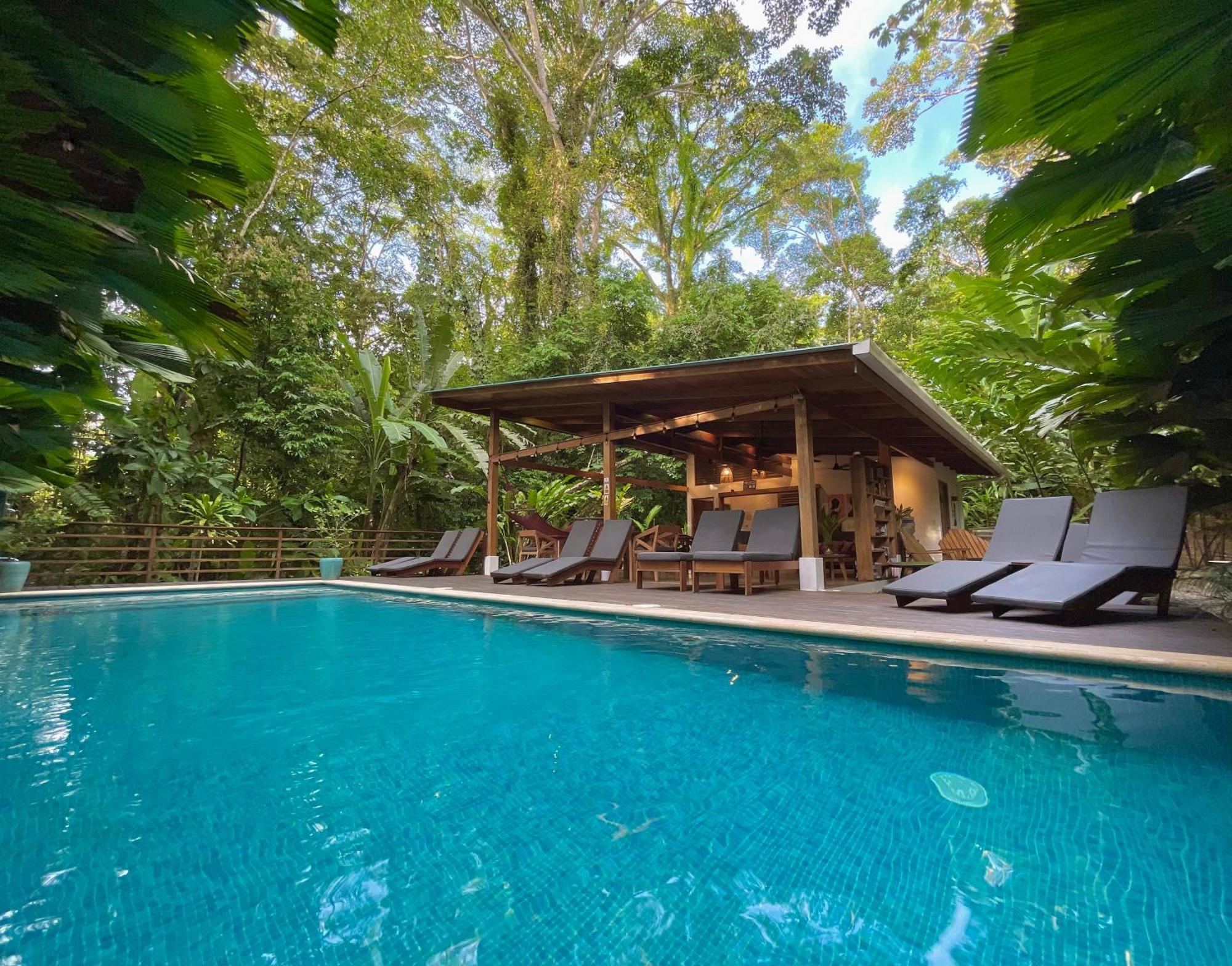 Satta Lodge (Adults Only) Puerto Viejo de Talamanca Luaran gambar