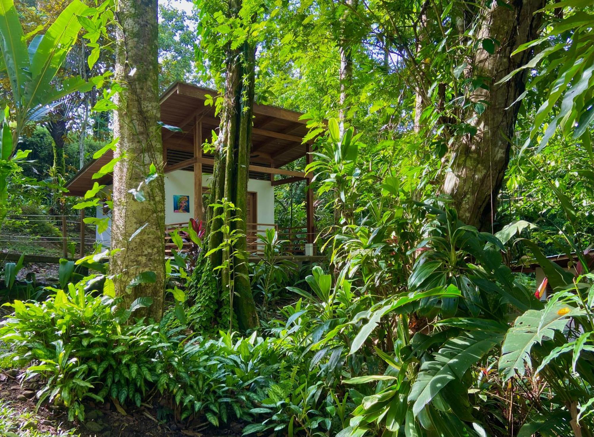 Satta Lodge (Adults Only) Puerto Viejo de Talamanca Luaran gambar