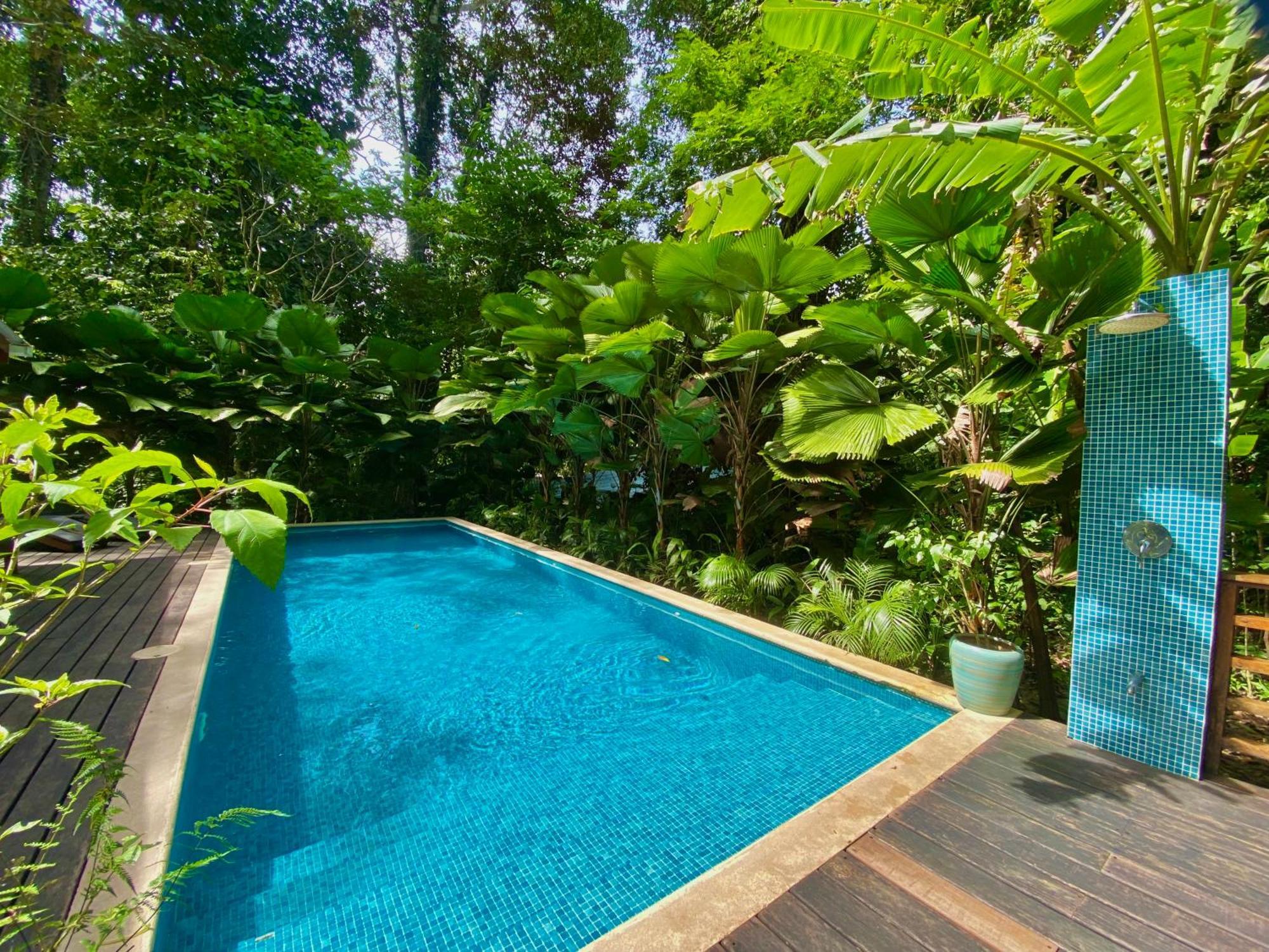 Satta Lodge (Adults Only) Puerto Viejo de Talamanca Luaran gambar